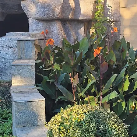 Garden Of Eden- Mintgarden- 1 *