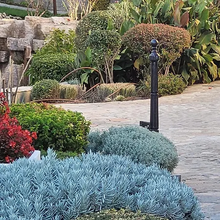 Garden Of Eden- Mintgarden- 1 Appartement